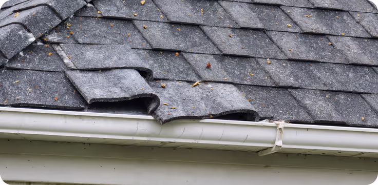 Tips for hiring a Pro #3